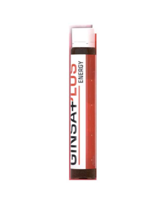 WINNER GINSA PLUS ENERGYSHOT 25 ML