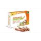 MGD NATURE GELINSENG 20 AMPOULES